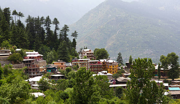 How to Plan a Workation in the Himalayas Workation in the Himalayas