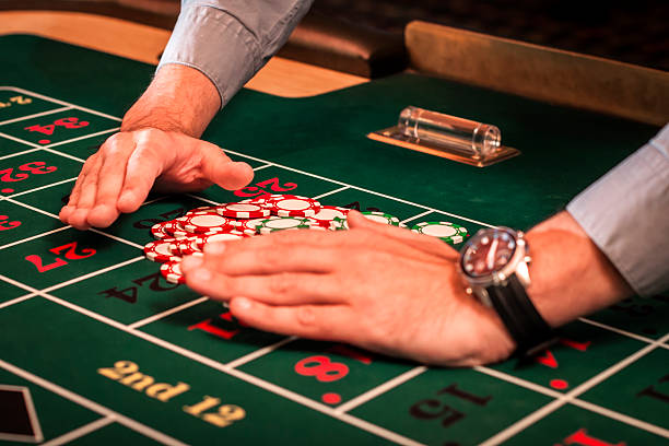 skyexchange login id